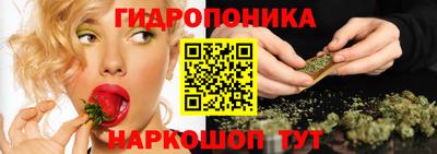 сатива Кулебаки