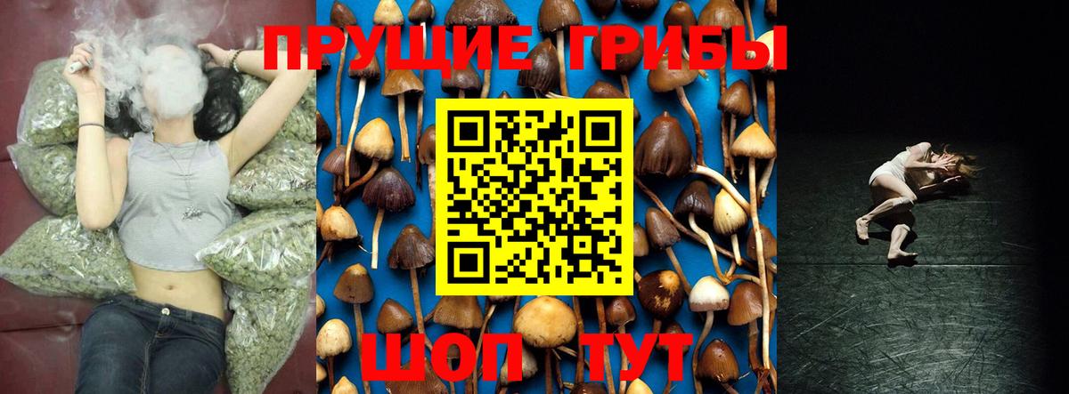 Псилоцибиновые грибы GOLDEN TEACHER  Псилоцибиновые грибы MAGIC MUSHROOMS  Учалы  Вход с VPN 